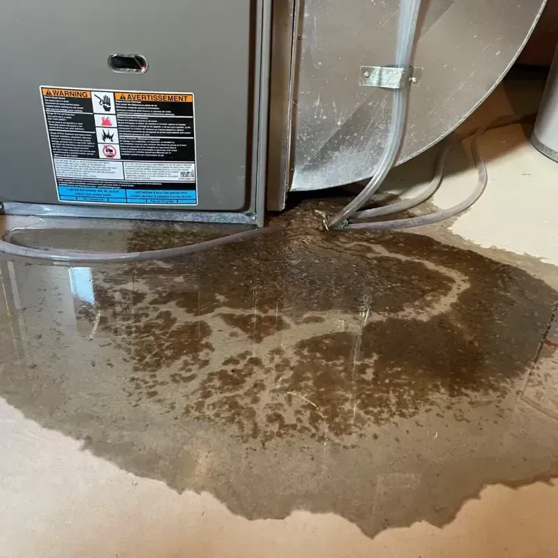 Appliance Leak Cleanup in Wawarsing, NY